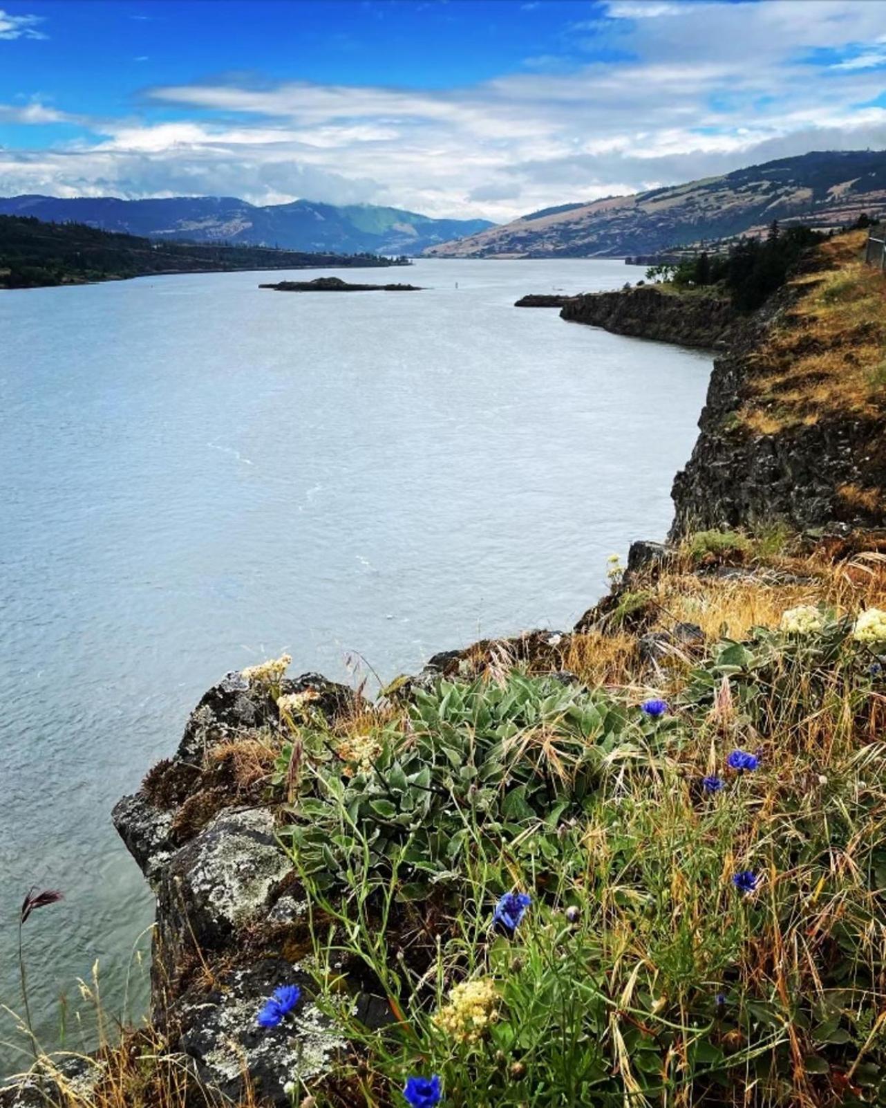 Gorgeous Gateway To The Columbia River Gorge Washougal Exterior photo